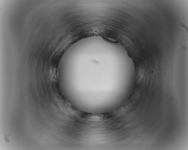 X0000101950236200808011052