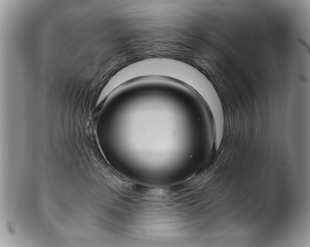 X0000101950237200808011052