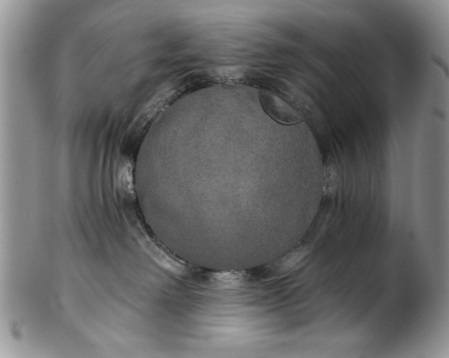 X0000101950238200808011052