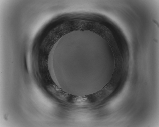 X0000101950239200808011052