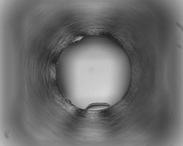 X0000101950240200808011052