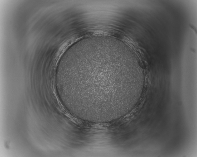 X0000101950241200808011052