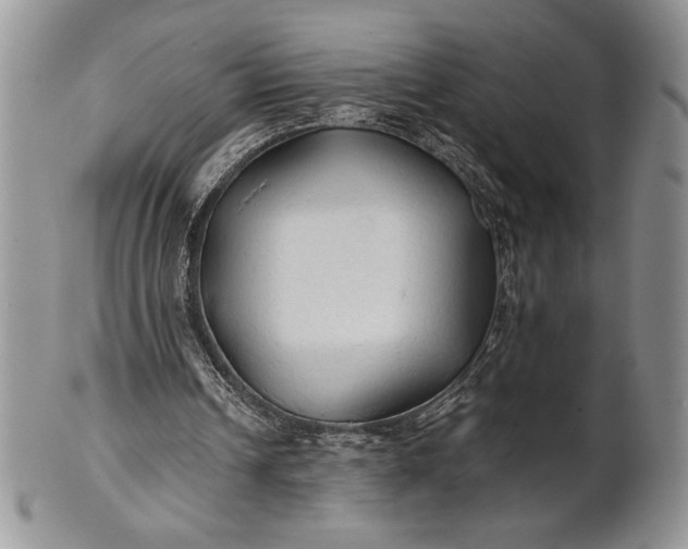 X0000101950242200808011052