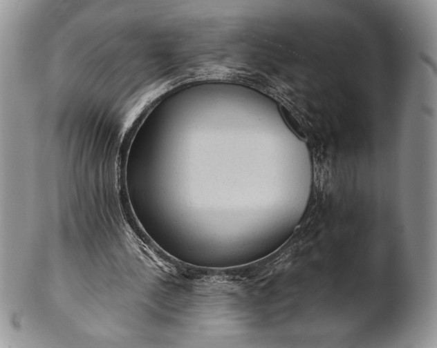 X0000101950244200808011052