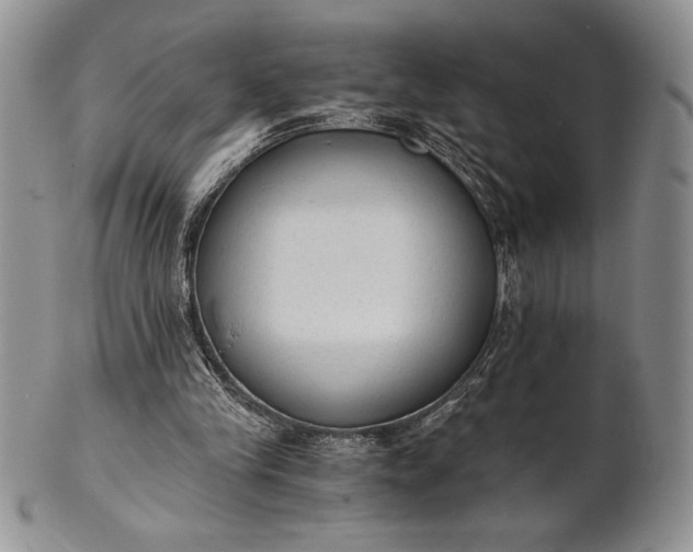 X0000101950245200808011052