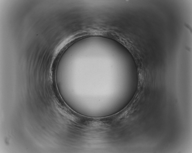 X0000101950246200808011052