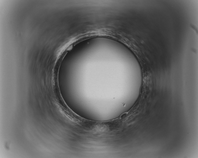 X0000101950248200808011052