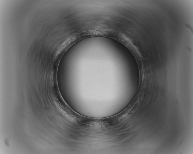 X0000101950250200808011052