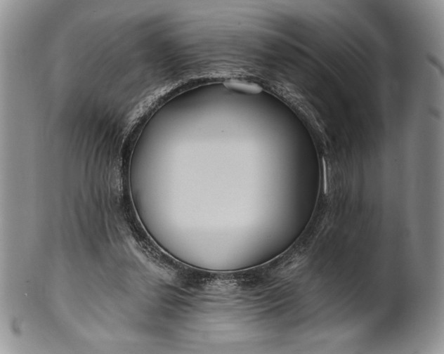 X0000101950252200808011052