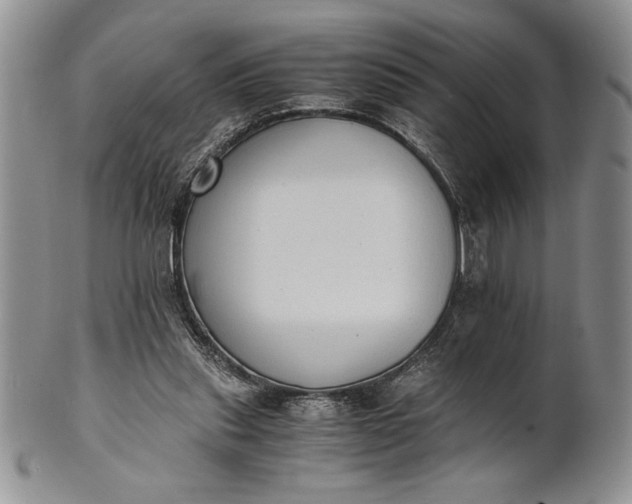 X0000101950253200808011052