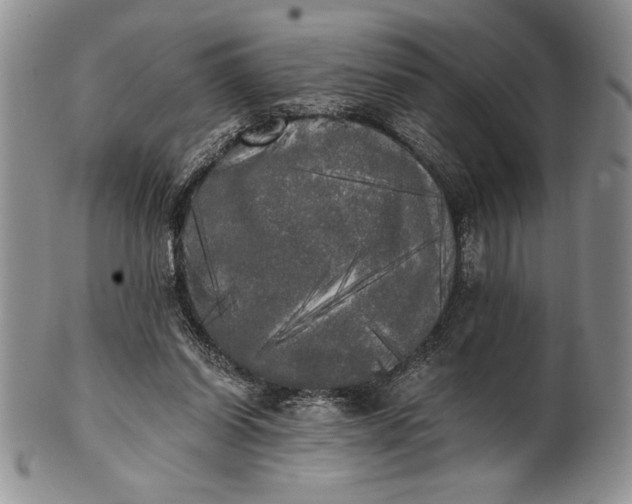 X0000101950254200808011052