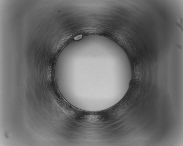 X0000101950255200808011052