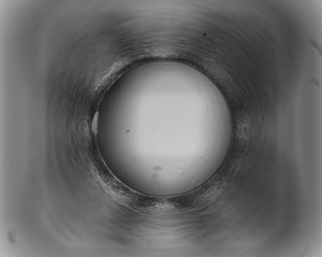 X0000101950256200808011052