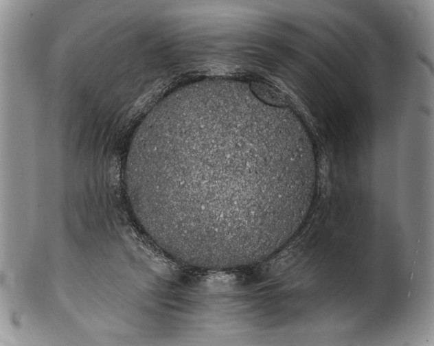 X0000101950257200808011052