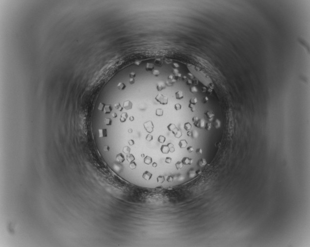 X0000101950258200808011052