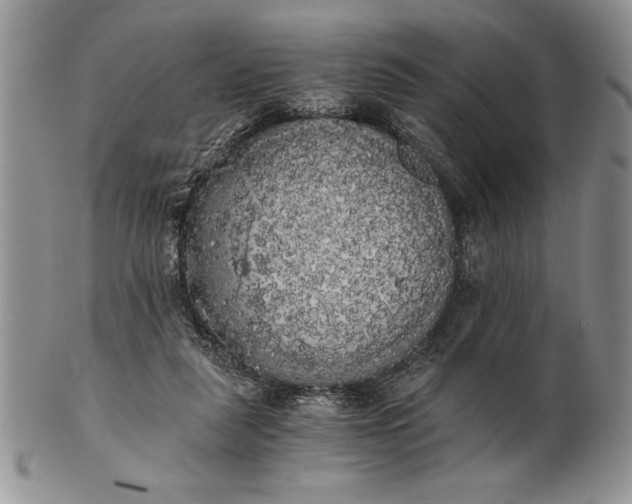 X0000101950259200808011052