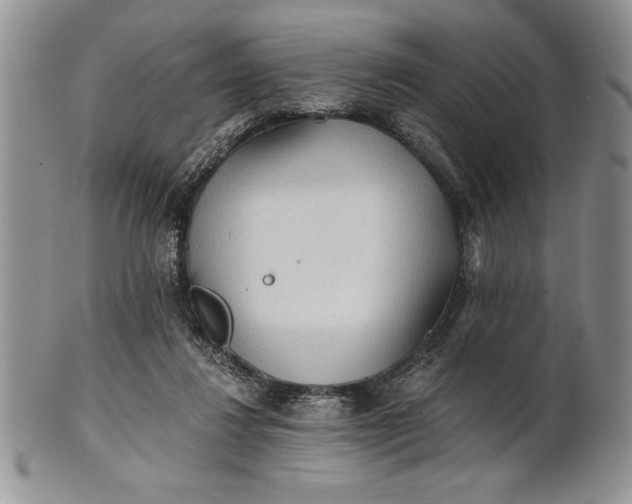 X0000101950260200808011052