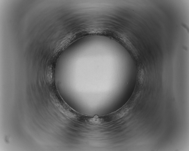 X0000101950261200808011052