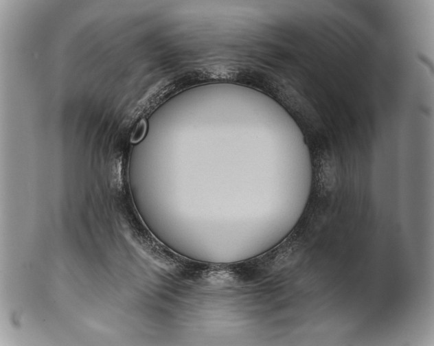 X0000101950262200808011052