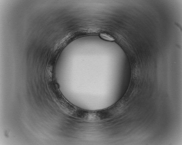 X0000101950264200808011052