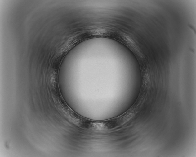 X0000101950265200808011052