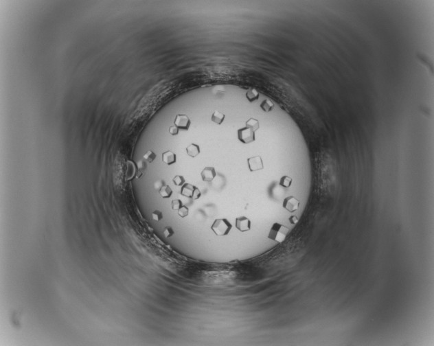 X0000101950266200808011052