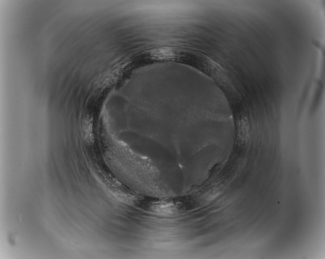 X0000101950267200808011052