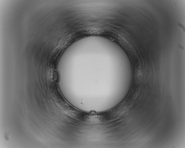 X0000101950268200808011052