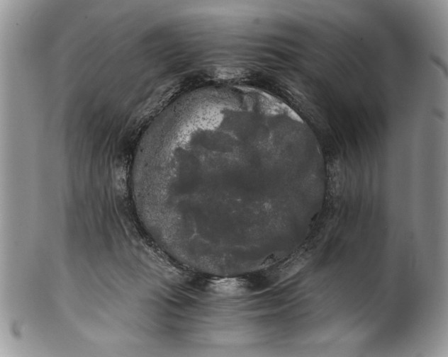 X0000101950269200808011052