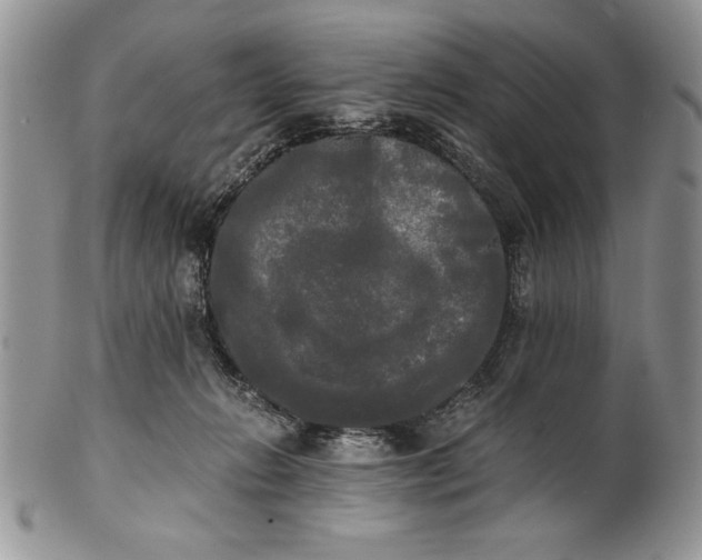 X0000101950270200808011052