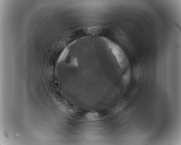 X0000101950271200808011052