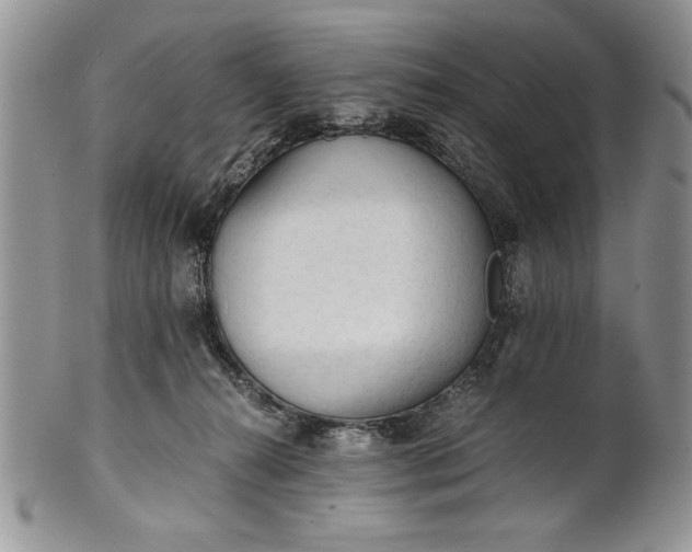 X0000101950272200808011052