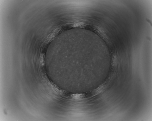 X0000101950273200808011052