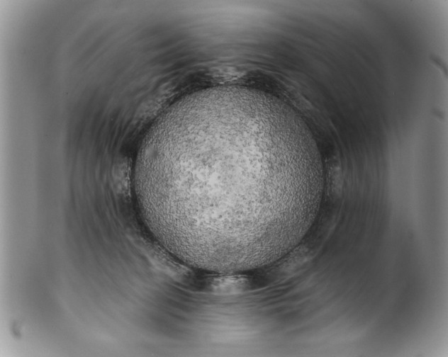 X0000101950274200808011052