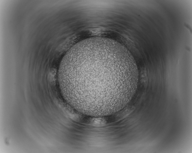 X0000101950275200808011052