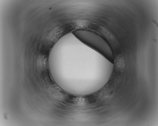 X0000101950276200808011052