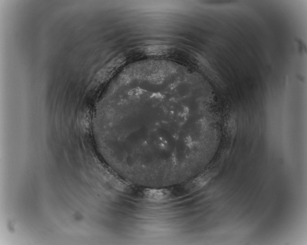 X0000101950277200808011052