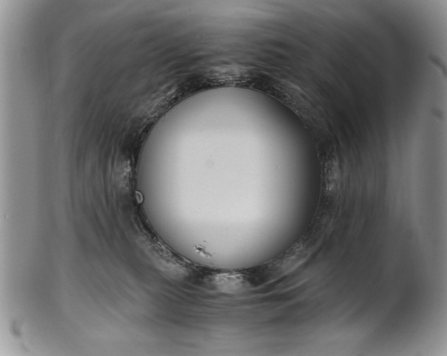 X0000101950279200808011052