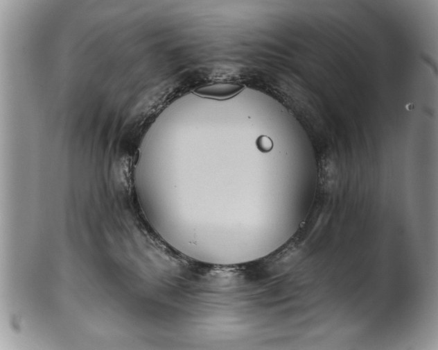 X0000101950280200808011052