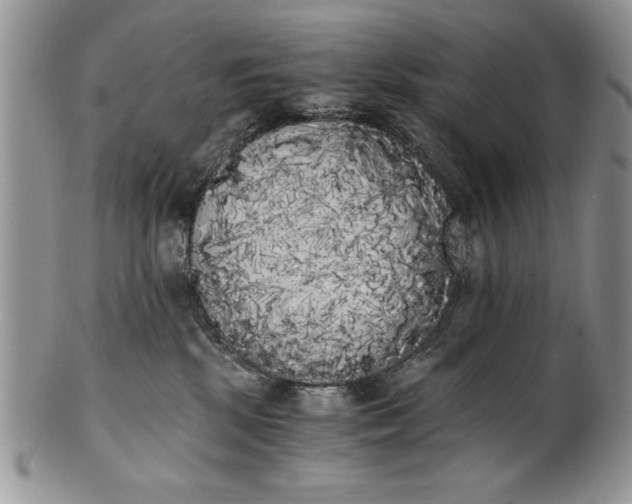 X0000101950281200808011052