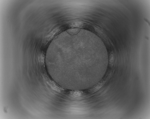 X0000101950282200808011052