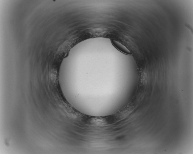 X0000101950283200808011052