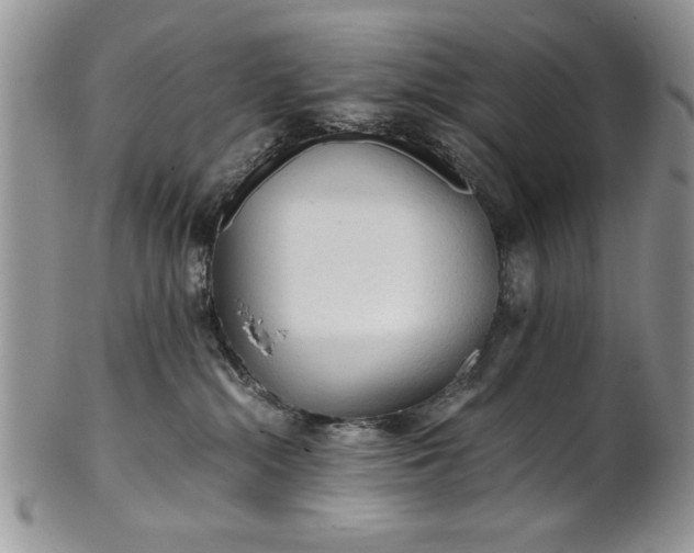 X0000101950284200808011052