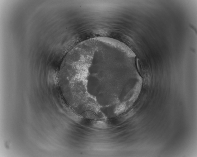 X0000101950285200808011052