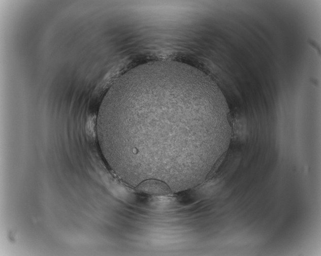 X0000101950286200808011052