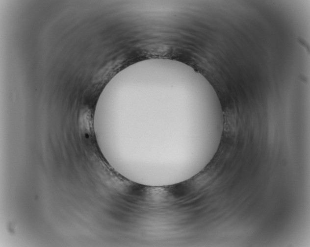 X0000101950287200808011052