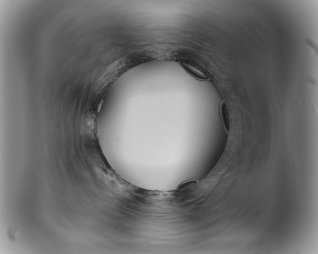 X0000101950288200808011052