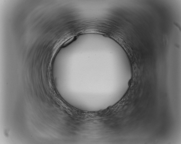 X0000101950289200808011052