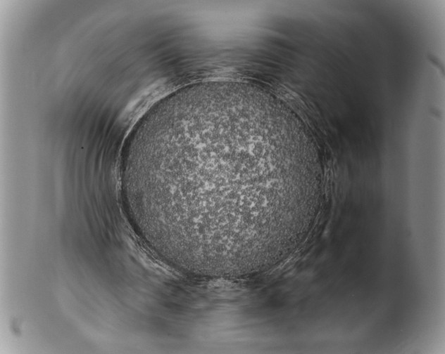 X0000101950290200808011052