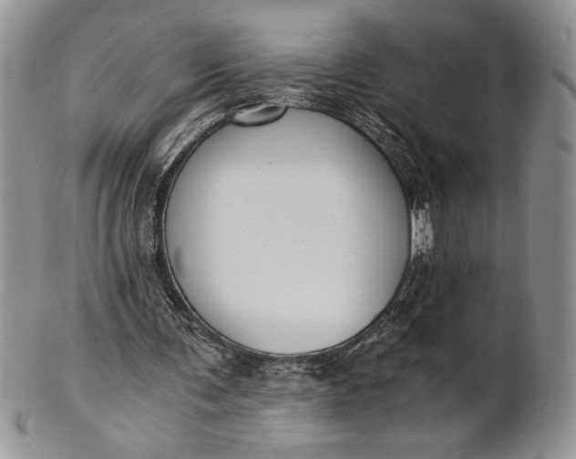 X0000101950291200808011052